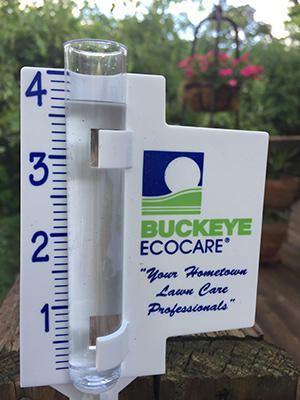 the-good-the-bad-the-ugly-2017