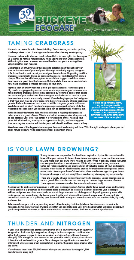 Buckeye-Ecocare-2023-early-spring