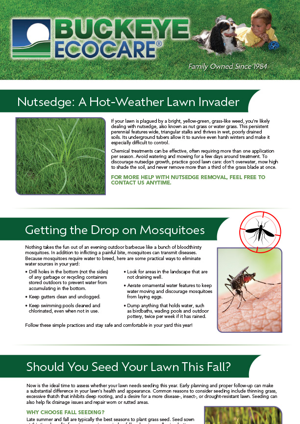 Summer 2025 Newsletter