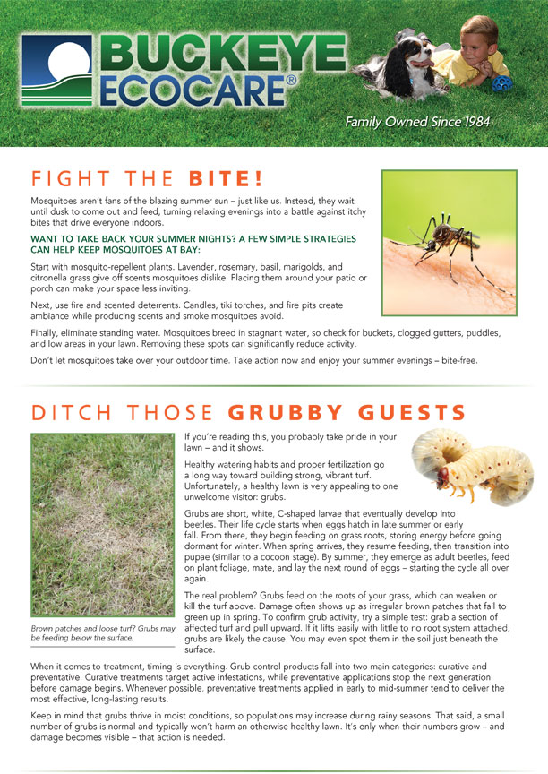 summer-newsletter-thumbnail